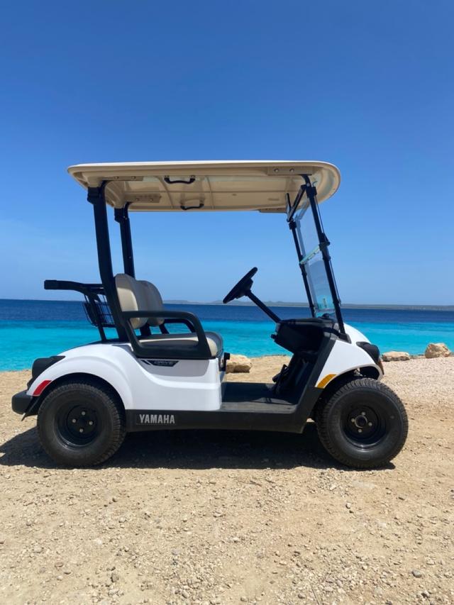 Yamaha 2-seater golf cart parked with Bonaire's scenic coastline in the background.