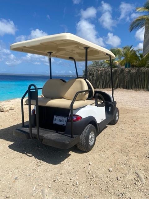Family-friendly 4-seater Club Car golf cart awaiting adventure, with Bonaire's lush landscape in the background.