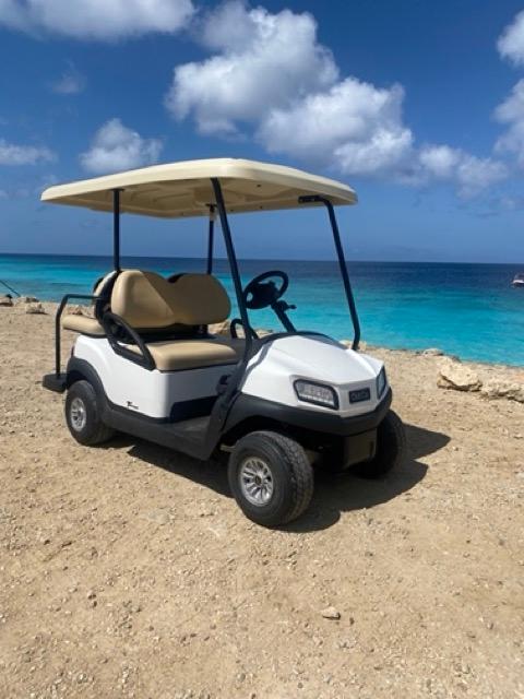 Elegant exterior of a 4-seater Club Car golf cart highlighting its roomy seating and durable design.