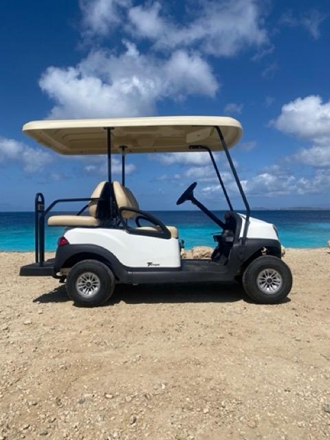 Spacious 4-seater Club Car golf cart parked under Bonaire's clear blue sky, perfect for family explorations.