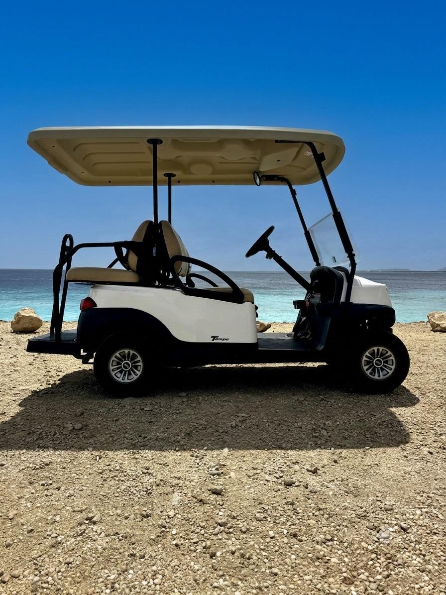 Ruime 4-persoons golfkar geparkeerd aan het strand.
