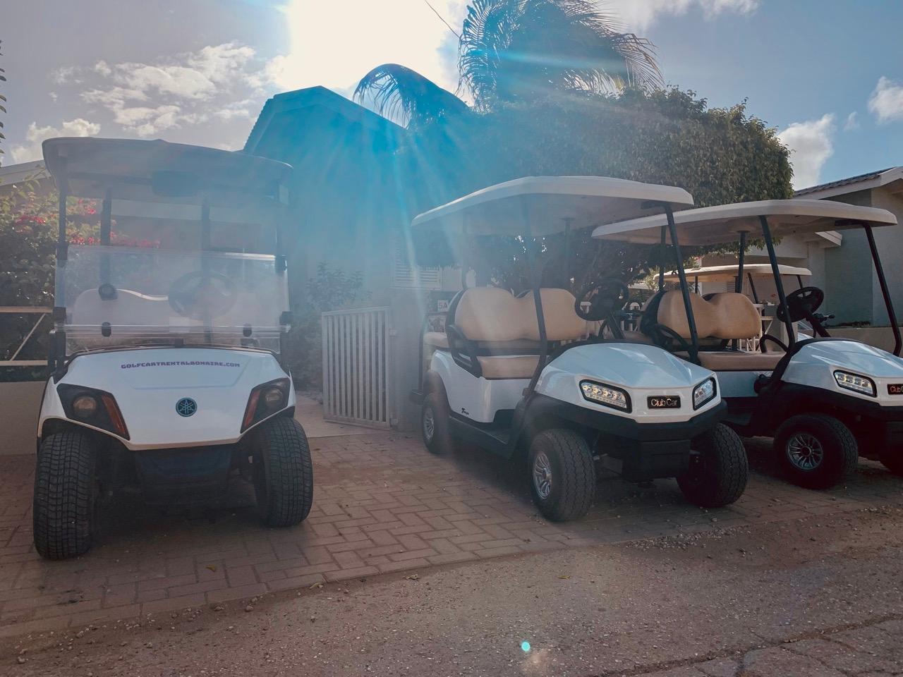 Golfcart Rental close to the cruise port in bonaire.