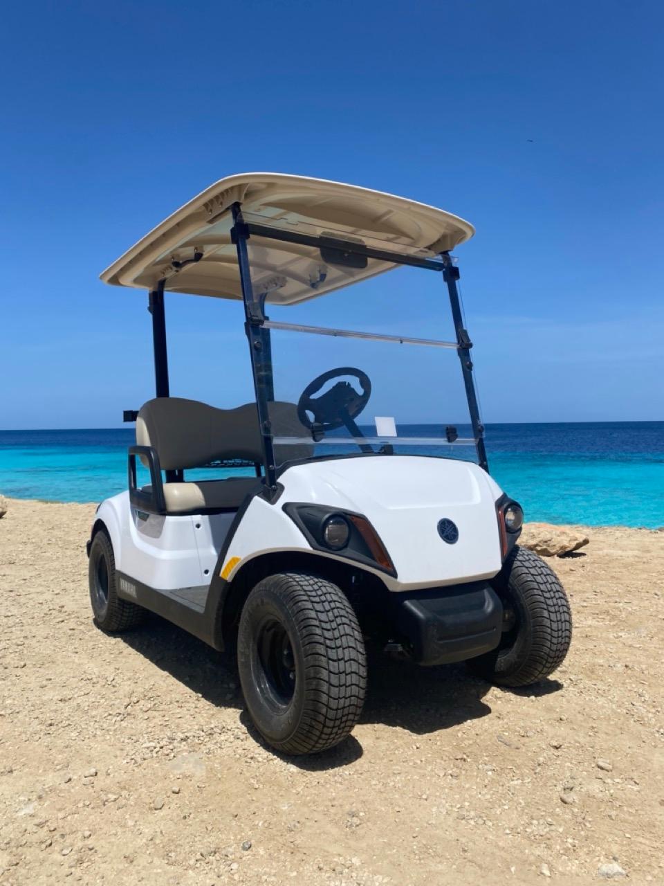 Yamaha 2-seater golf cart parked with Bonaire's scenic coastline in the background.