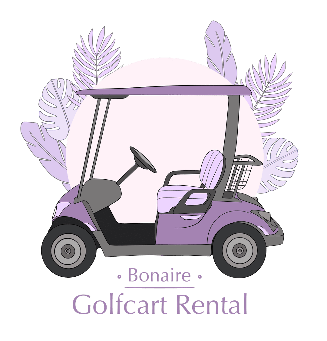 how-to-rent-a-golfcart-on-bonaire-golfcart-rental-bonaire